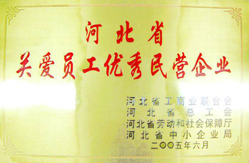 河北省關(guān)愛(ài)職工優(yōu)秀民營(yíng)企業(yè)
