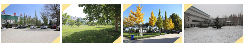 四季2.png 四季2.png